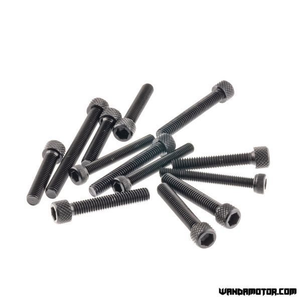 Crankcase bolt set Derbi Senda black