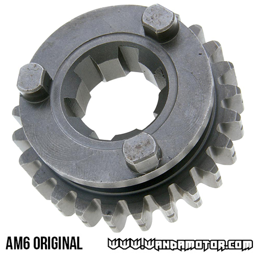 #05 AM6 5. speed gear 25z-2