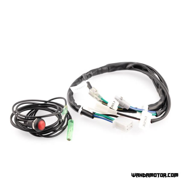 Monkey EFI conversion kit Euro5 2020->-3