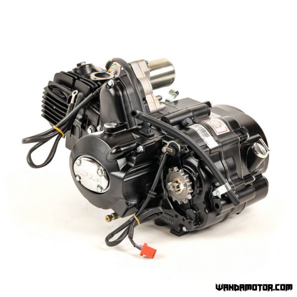Engine Monkey Type 125cc with reverse-4