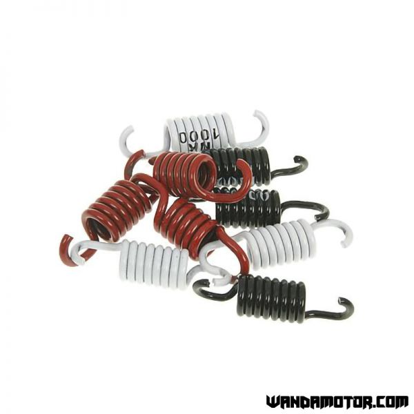 Clutch spring kit Naraku Sport Piaggio, Peugeot-1