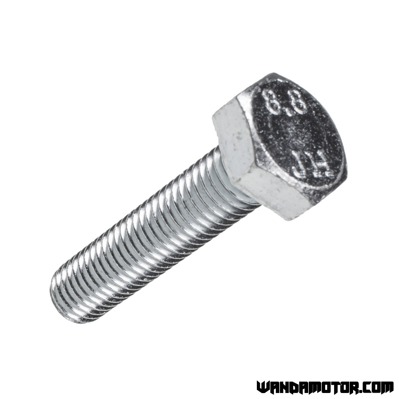 Bolt M10 x 45mm