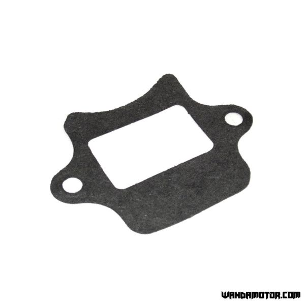 Valve gasket Suzuki PV