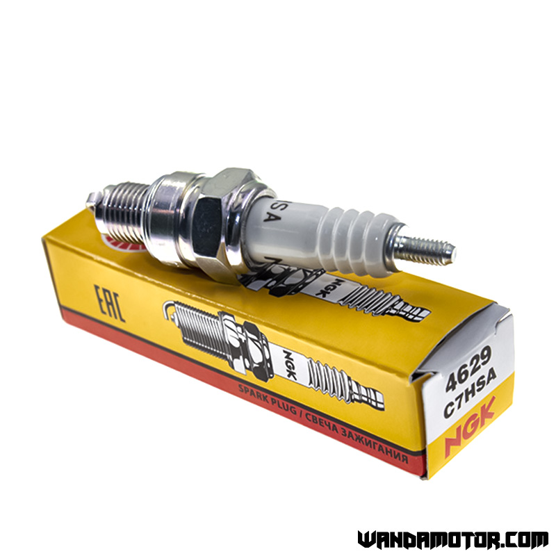 CANDELA NGK c8hsa HONDA Monkey 50 Dax GORILLA SKYTEAM Tutti i modelli Jincheng 
