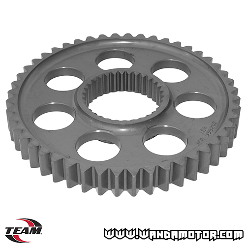 Team Ski-Doo / Lynx lower gear 13W 48