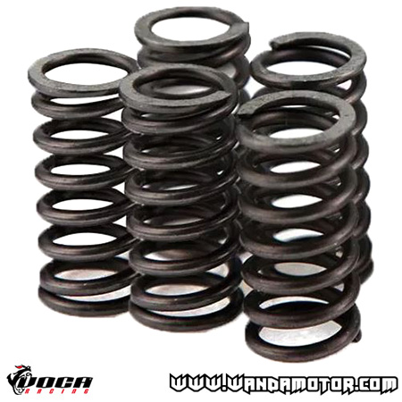 Clutch spring kit Voca carbon race Derbi