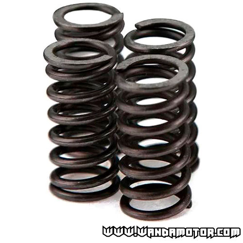 Clutch spring kit Voca carbon race Minarelli AM6