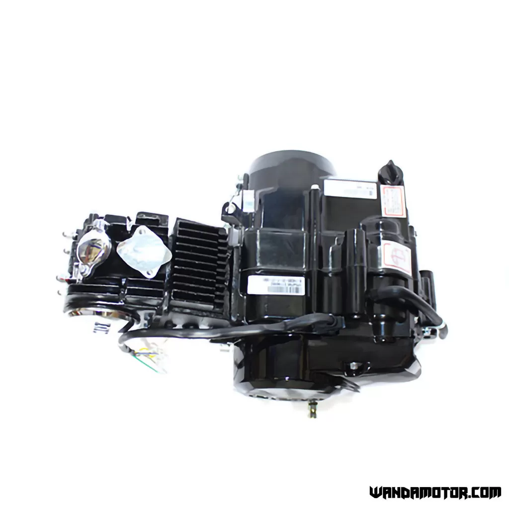 Lifan 50cc store motor