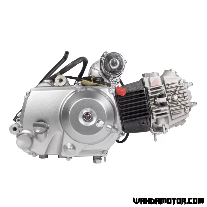 Lifan monkey best sale 110