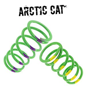 Arctic Cat