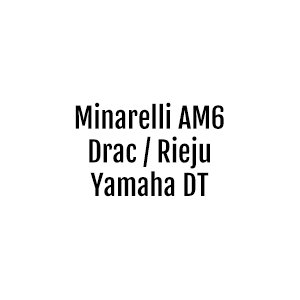 Minarelli AM6