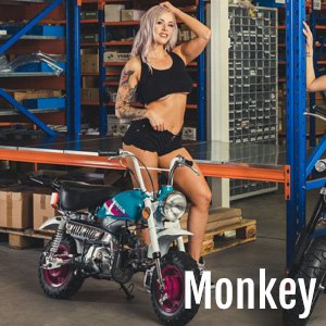 Shop in shop Monkey